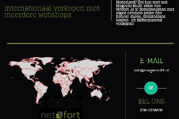 Magento Multistore Infographic (Netfort)